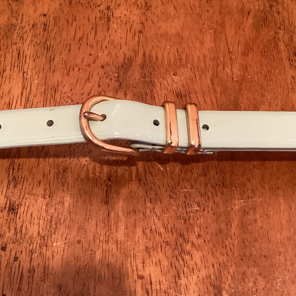 J. Crew Baby Blue Patent Leather Belt